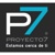 Proyecto 7