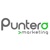 Puntero Marketing Digital