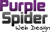 Purple Spider Web Design