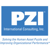 PZI Consulting