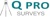 Q Pro Surveys