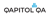 Qapitol QA Services Pvt. Ltd.