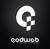 QodWeb Digital Agency