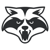 Raccoon Soft