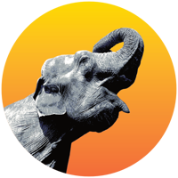 Radiant Elephant