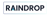 Raindrop Inc