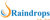 Raindrops Infotech