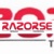 RAZORSE SOFTWARE PRIVATE LIMITED