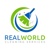 Real World Cleaning Services