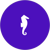 Recogn.ai