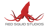 Red Squid