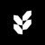 Revlient intercontinental LLP