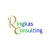 Ringkas Consulting