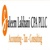 Saleem Lakhani CPA