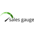 Sales Gauge