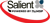 Salient IT