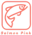 Salmon Pink Business Solutions
