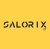 Salorix IT Pvt Limited