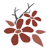 Sand Cherry