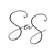 SAS Weddings