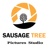 Sausage Tree Pictures Studio