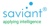 Saviant Consulting