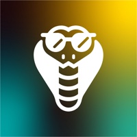 Savvy Cobra