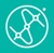 Search Insights