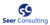 Seer Consulting