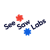 SeeSaw Labs