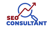SEO Consultant