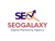 SEO, Digital Marketing Agency - SEOGALAXY