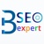 SEO Freelancer Pune