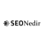 SEO Nedir