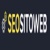 Seo Sito Web