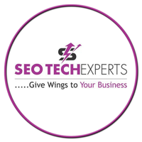 SEO Tech Experts Pvt Ltd