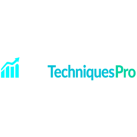 SEO Techniques Pro