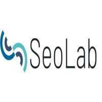 SeoLab Agency