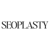 SEOPlasty