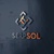 SerpSol Technologies
