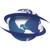 SETA International