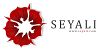 Seyali Technology Private Limited