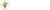 Shackleton Technologies