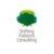 Shifting Patterns Consulting, LLC