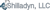 Shilladyn LLC