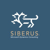 Siberus