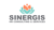 Sinergis HR Consulting & Services