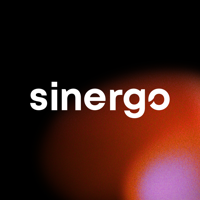 Sinergo Data