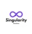 Singularity Solutions