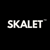 Skalet Agency-Best Website Design & Development Agency in Delhi